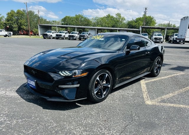 2022 Ford Mustang EcoBoost